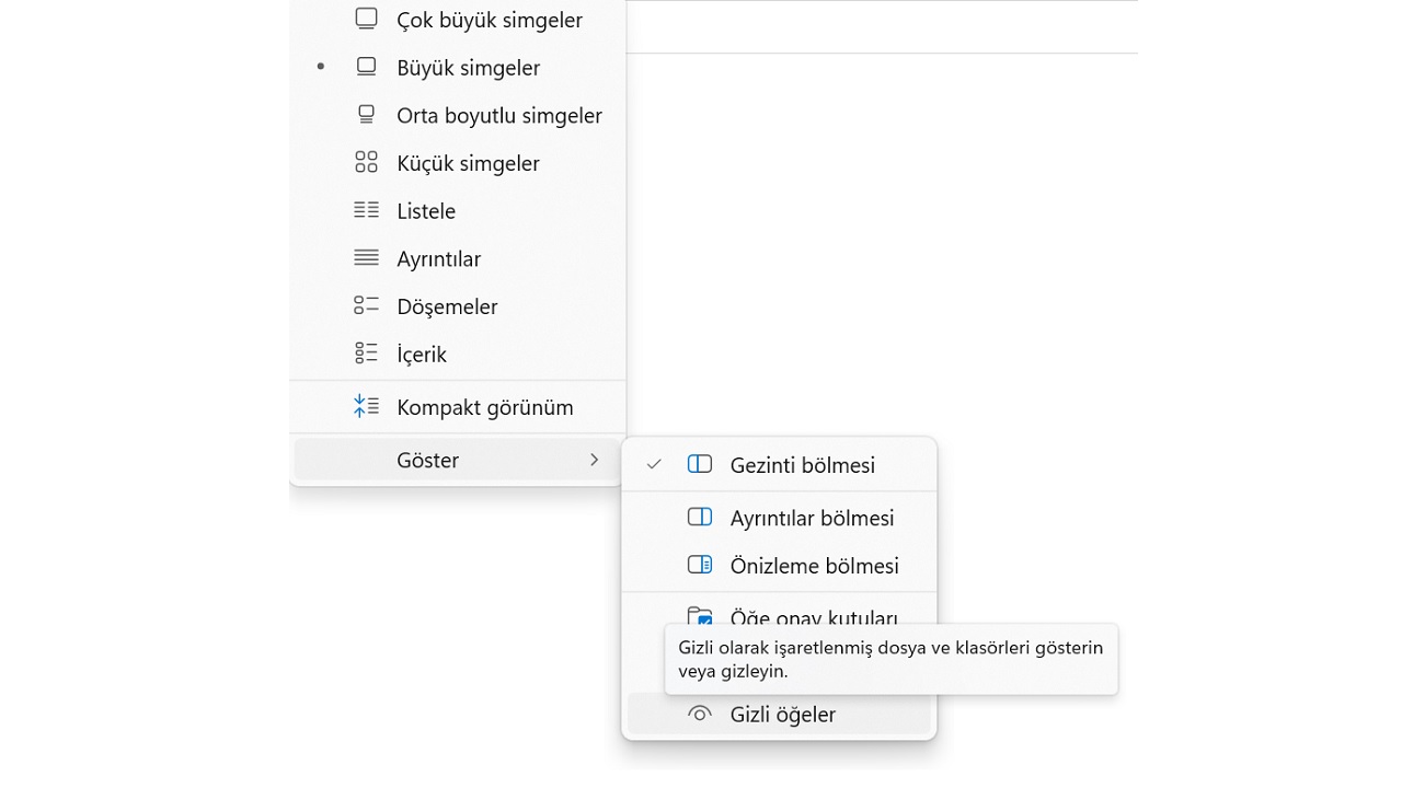 gizli dosyaların gösterilmesi