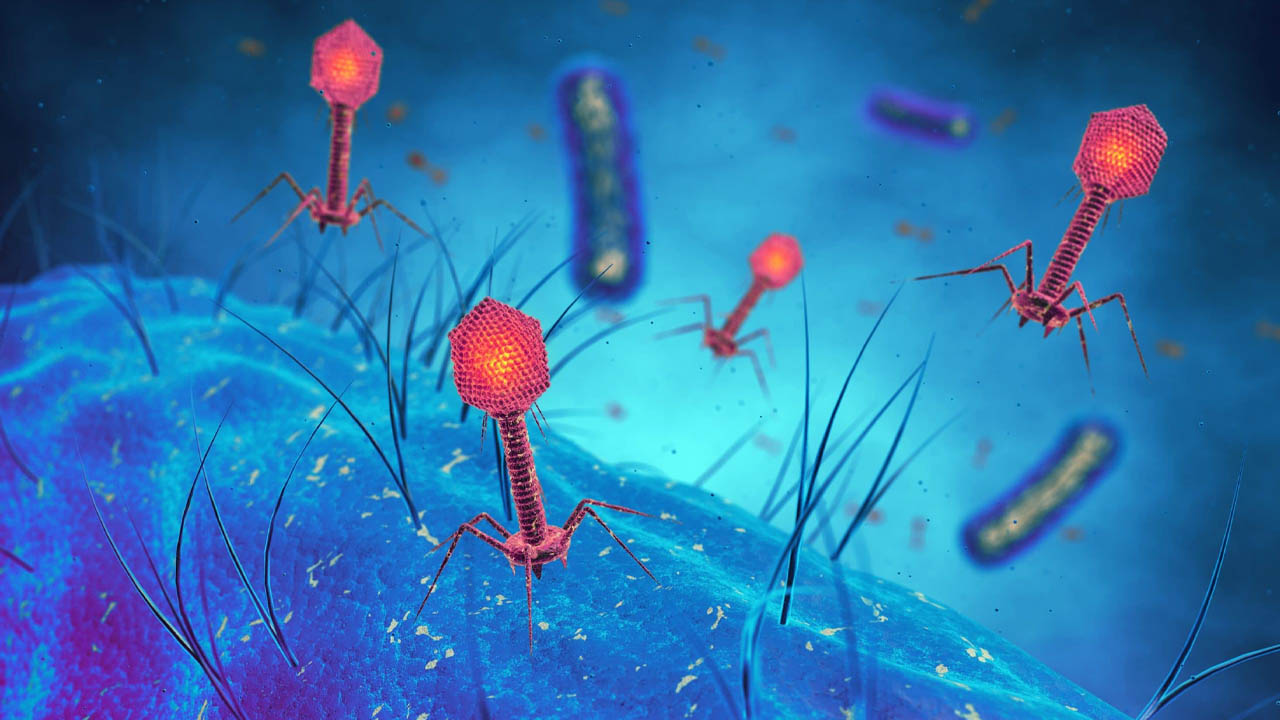HIV tarihi olabilir