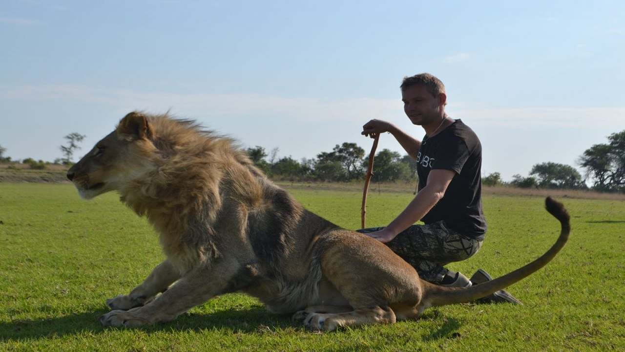 aslan ve insan