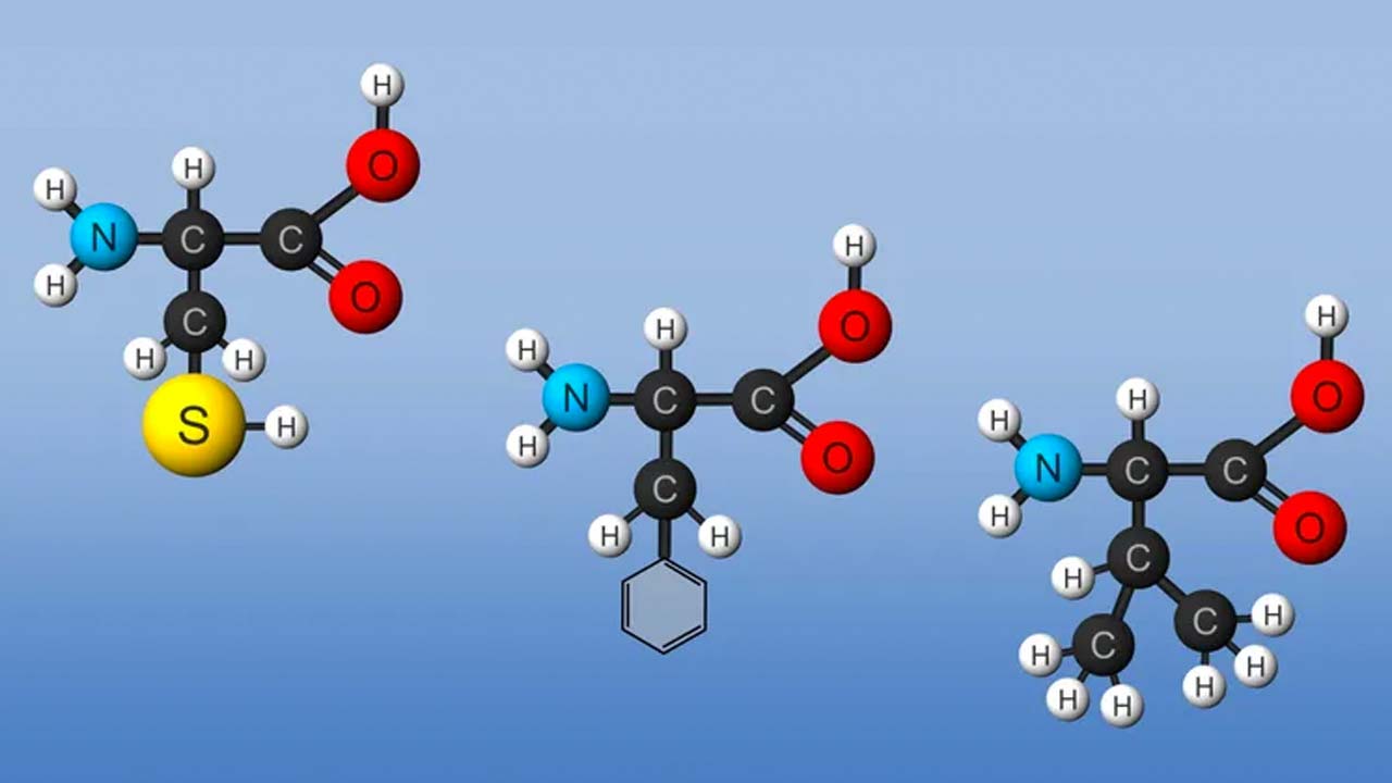 amino asit