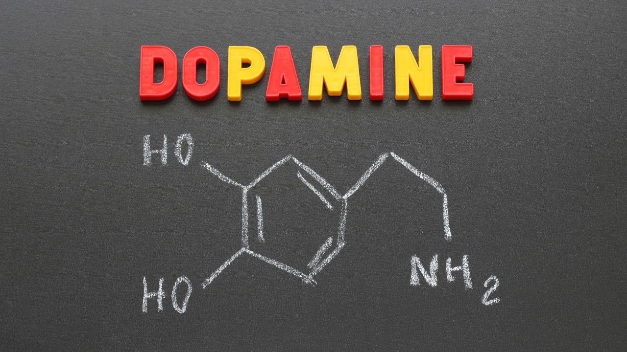 dopamin fazlalığı