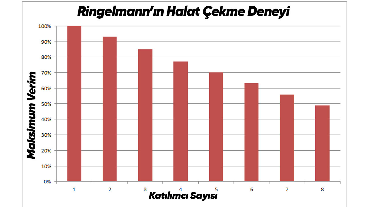 ringelmann sosyal etkisi tembellik