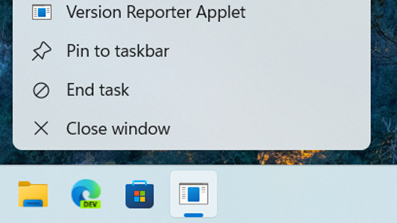 Windows 11