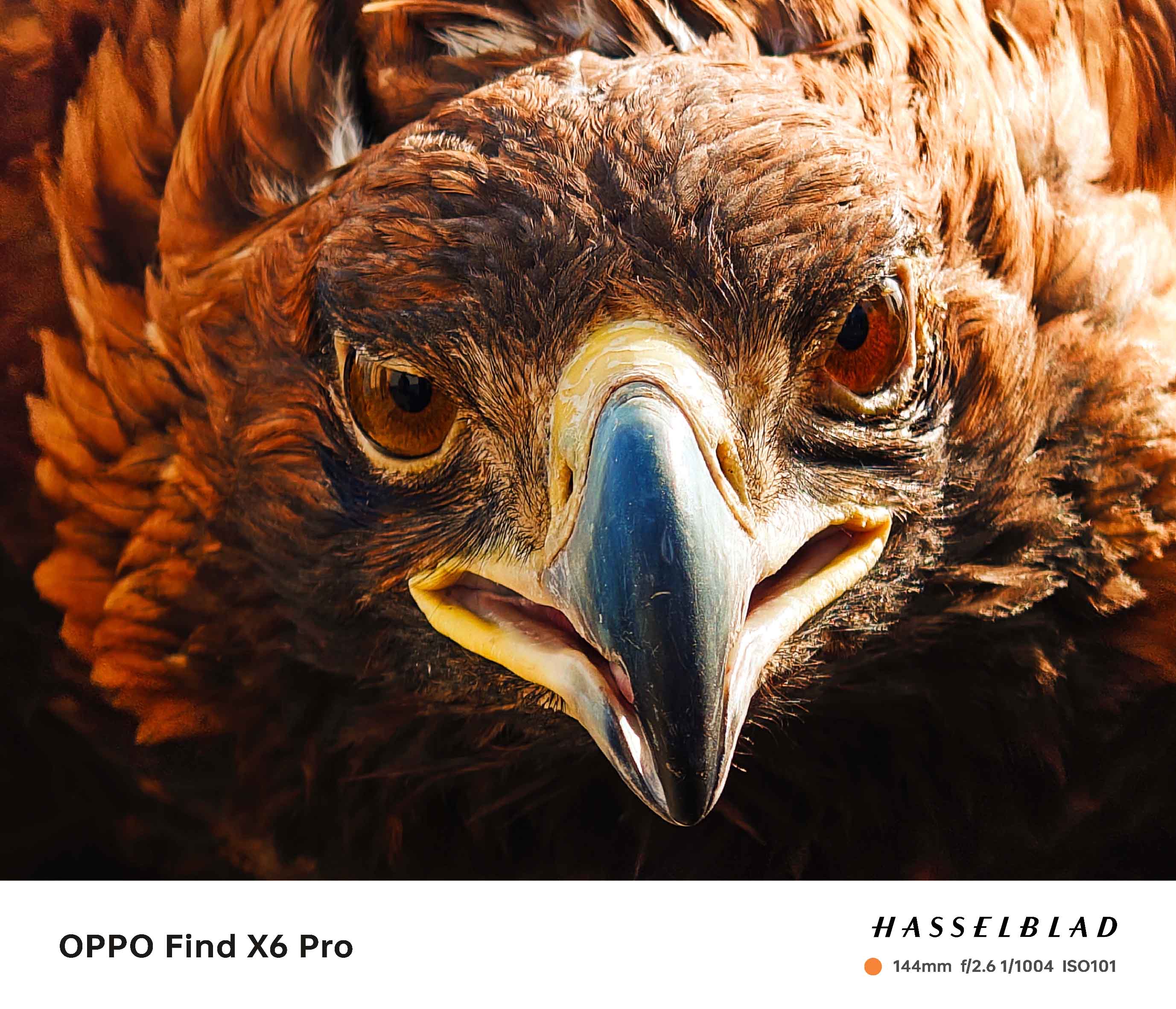 OPPO Find X6 Pro fotoğrafları