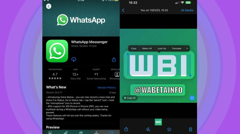 whatsapp metin algılama