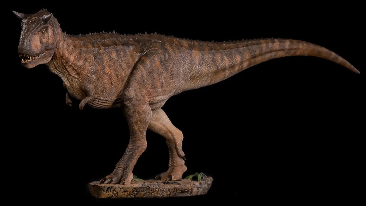 Karnotorus