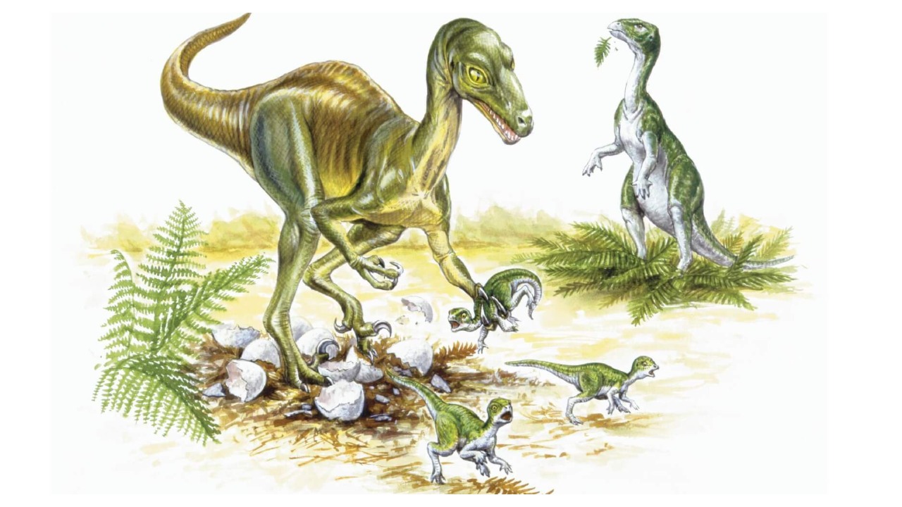 Troodon