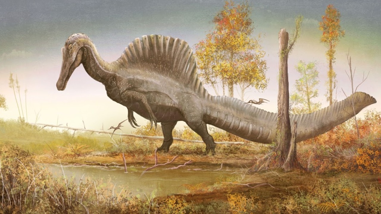 Spinozorlar 