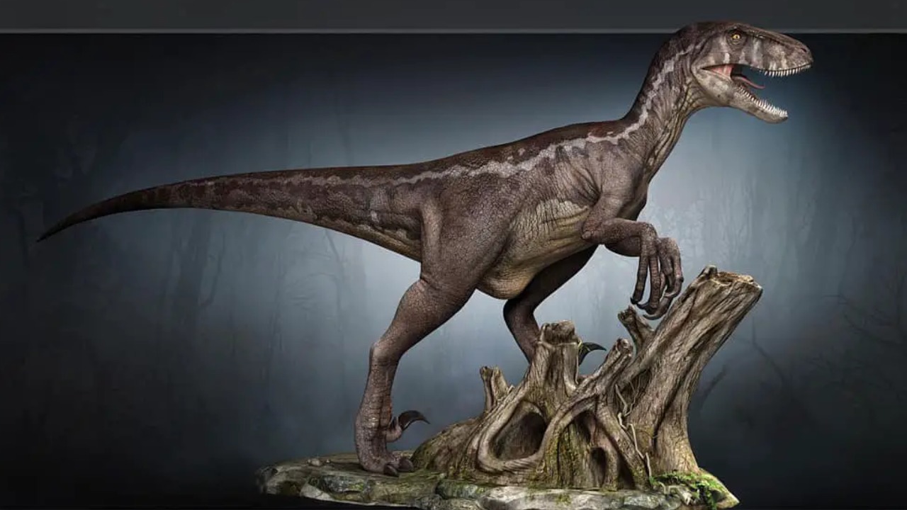 Utahraptor 