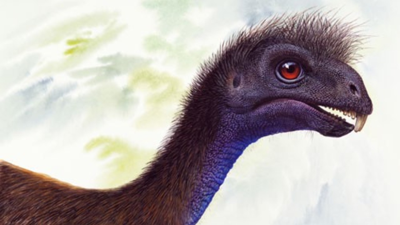 incisivosaurus 