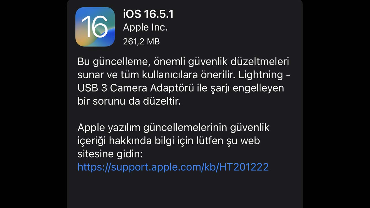 ios 16.5.1