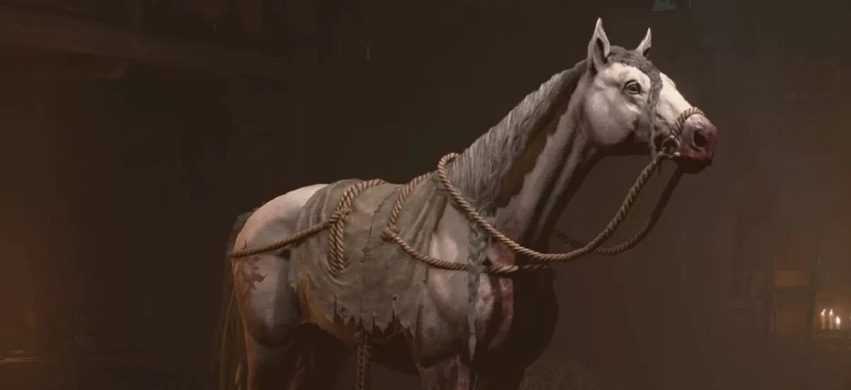Diablo 4 Donan'ın İyiliği görevi nasıl yapılır?