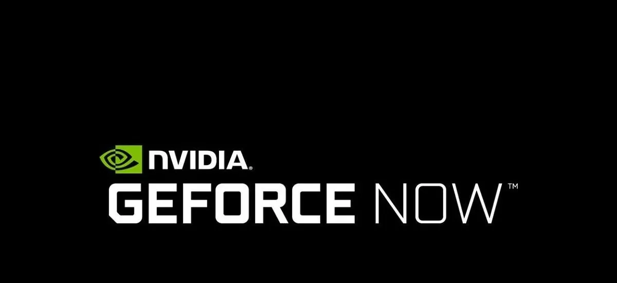 NVIDIA GeForce Şimdi 13